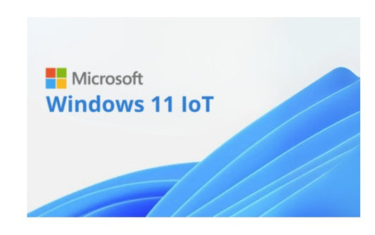 Microsoft Windows 11 IOT Multi Language - By Order